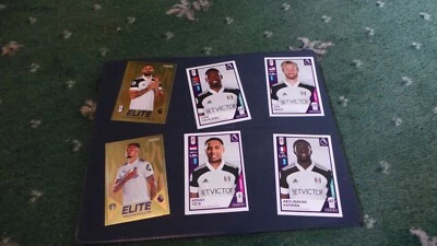 PANINI FOOTBALL 2021 PREMIER LEAGUE STICKER COLLECTION - complete your album!