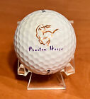 Phantom Horse Golfschläger (Arizona) Logo Golfball