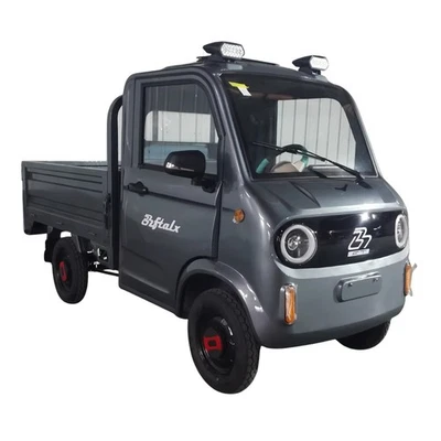 YB Pickup E-Lastenvierrad 1,5 kW 40 km/h für Transport & Gewerbe Lastenrrad Grau - Bild 1 von 4