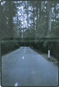 DRIVING ROAD TRIP NEAR MELBOURNE AUSTRALIA DECEMBER 1969 KODACHROME SLIDE - Picture 1 of 3