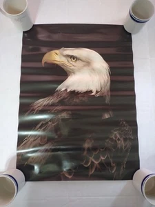 Vintage Friends of Nature International #2 Weißkopfseeadler dunkles Poster 16" x 22" - Bild 1 von 11