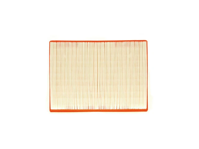 Filtro de aire Pronto 97ZT15Q para BMW 330Ci 2001-2006 filtro de aire de 3,0 L 6 cilindros Foto 1 de 1