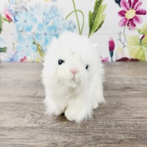 Ganz Webkinz Persian Cat Plush HM110 Stuffed Animal No Code - Picture 1 of 6