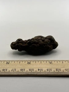 Coprolite Genuine Fossilized Feces Poop Dung  2.5”X 1” X .75” C43 - Picture 1 of 4