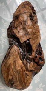 9”x5” Unique Piece Of Driftwood Ideal For aquarium And Arts & Crafts - Picture 1 of 11