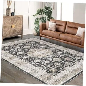 Washable Area Rug 6x9 Bohemian Rug Medallion Vintage Area Rug, Stain-Resistant - Picture 1 of 8