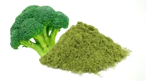 Organic Broccoli Powder UK Seller - Picture 1 of 1