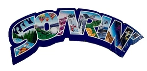 SELTEN VTG Disney Soarin 'Over California schwebender hölzerner Kühlschrankmagnet Disneyland - Bild 1 von 7