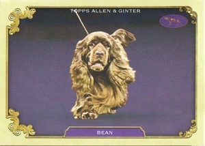 2024 Topps Allen and Ginter Westminster Stars of the Show #SOS9 Bean INSERT - Picture 1 of 1