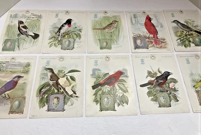 1926 /1927 Singer Sewing Machine Adv American Song Birds lithographs Full Set 16 - Image 1 of 4