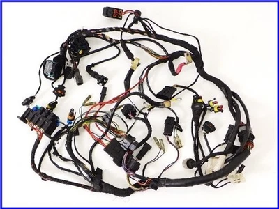 Juego de arnés principal genuino DUCATI 2003 999S 10.971 km  Foto 1 de 4