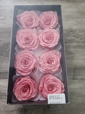Lote de 8 Flores de Rosa Conservadas -100% Real - Conservadas por Earth Matters ROSA Foto 1 de 4