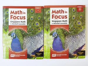 Lot 2 Math in Focus The Singapore Approach Grade 2 2A & 2B Student Textbooks - Picture 1 of 3
