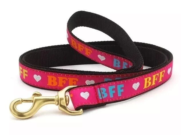 Correa para perro Up Country, BFF, Best Friends Forever, hecha en EE. UU. 4 pies de plomo 1" de ancho Foto 1 de 1