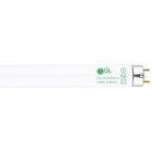 Goodlite F32T8/850/ECO 32W 48-inch T8 Fluorescent Tube N/A