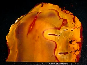 MOOKAITE JASPER-4 1/4" x 3 7/8 "  rough, cabbing - display , science - Picture 1 of 3