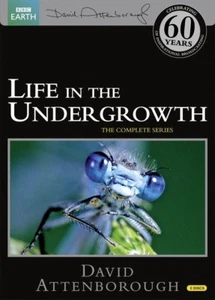LIFE IN THE UNDERGROWTH (2005): David Attenborough BBC TV Series R2/4 DVD  - Picture 1 of 1