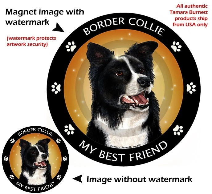Border Collie My Best Friend Dog Car Magnet - Image 1 of 1