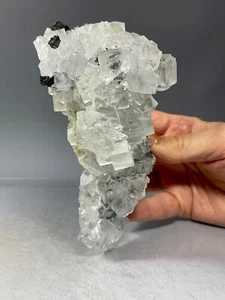 SS Rocks - fluorita, esfalerita (mina Nikolaevskiy, Dalnegorsk, Rusia) 1,28 libras - Imagen 1 de 6