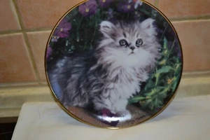 einen schönen Sammelteller-Katze- Purr-Fection - Bild 1 von 5
