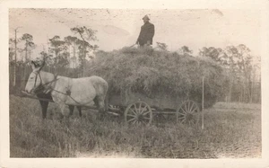 RPPC FARMER WITH HORSE DRAWN HAY WAGON c1910 REAL PHOTO POSTCARD 101925 U - Picture 1 of 2