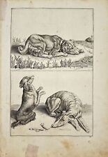 Antique Engraving - Frederick de Wit - 17th-century Dog Print - Pets - F5