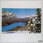 Peyto Lake and My Patterson Canadian Rockies Postcard (P876)