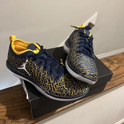 Talla 8.5 - Jordan Trainer 1 Low Michigan 2016 Foto 1 de 4