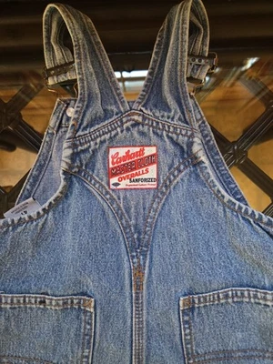 Mono con tirantes Carhartt para niños 4T azul denim sanforizado tela maestra lavado medio jeans Foto 1 de 4