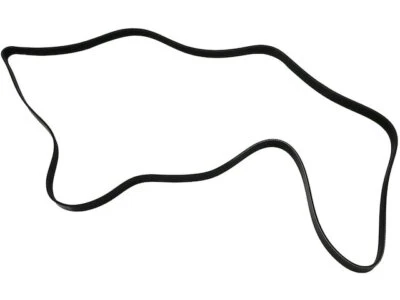 Cinturón multi costilla para Ford Focus 2008-2011 77274KY 2010 2009 2,0 L 4 cilindros gas Foto 1 de 2