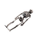 Skeleton Toy Model Skull Prop Halloween Outdoor Toys Hanging Human