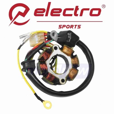 Electrosport Stator for 2004-2013 Honda CRF80F - Electrical Electrical ph Foto 1 de 4