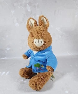 The Original Peter Rabbit By Beatrix Potter Plush Toy 12" 2007 Stuffed Animal  - Picture 1 of 10