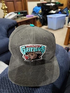 Mitchell & Ness NBA Basketball Vancouver Grizzlies Farbe Knitter Snapback Mütze - Bild 1 von 6