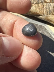 Canadian Blue Sapphire High Dome Cabochon Eye Of Odin Deposit Bluejay Mine #067 - Picture 1 of 9