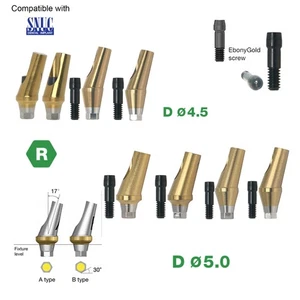 Pilar dental de titanio anatómico en ángulo de 17° se adapta a plataforma regular SNUCONE AFS - Imagen 1 de 34