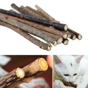 10 Katze Snacks natürliche Matatabi Kauen Katzenminze Stick Reinigun BEST W7V6 - Picture 1 of 10