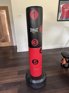 Everlast Target Freestanding Punchbag - Picture 1 of 3