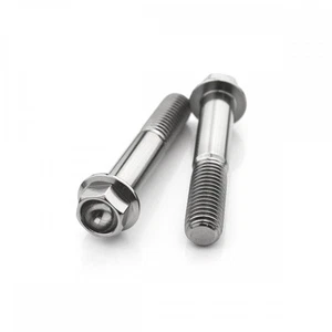 Aprilia SXV 450 STREET 09-11 Titanium Hex Front Caliper Mounting Bolts - Picture 1 of 1