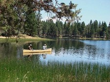 CAL PINES 1 ACRE   VERY UNIQUE - IT BORDERS THE NATIONAL FOREST CASH SALE !