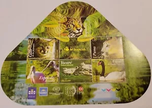 O) 2024 URUGUAY, ODD SHAPE, M´BOPICUA NATURAL RESERVE, FAUNA - BIRDS, PAMPAS CAT - Picture 1 of 1
