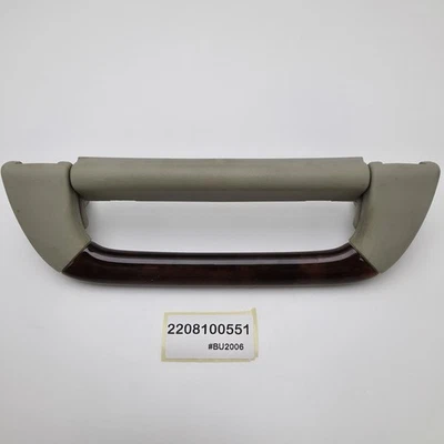 Mercedes-Benz S430 2000-2006 interior techo agarre manija 2208100551 Foto 1 de 4