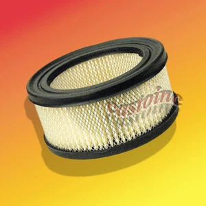 Filtro de aire se adapta a los modelos Briggs: 252400, 253400, 255400 (10, 11 y 12 HP) vertical - Imagen 1 de 2