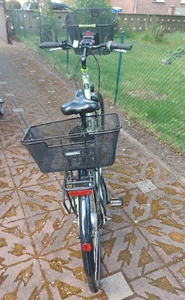 Stevens Damenfahrrad Modell Forma, grün, Größe 52L, gebraucht in gutem Zustand - Bild 1 von 3