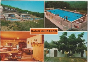 PESSOLA - "IL FALCO" RISTORANTE PIZZERIA DISCOTECA PISCINA - VARSI (PARMA) 1985 - Bild 1 von 1