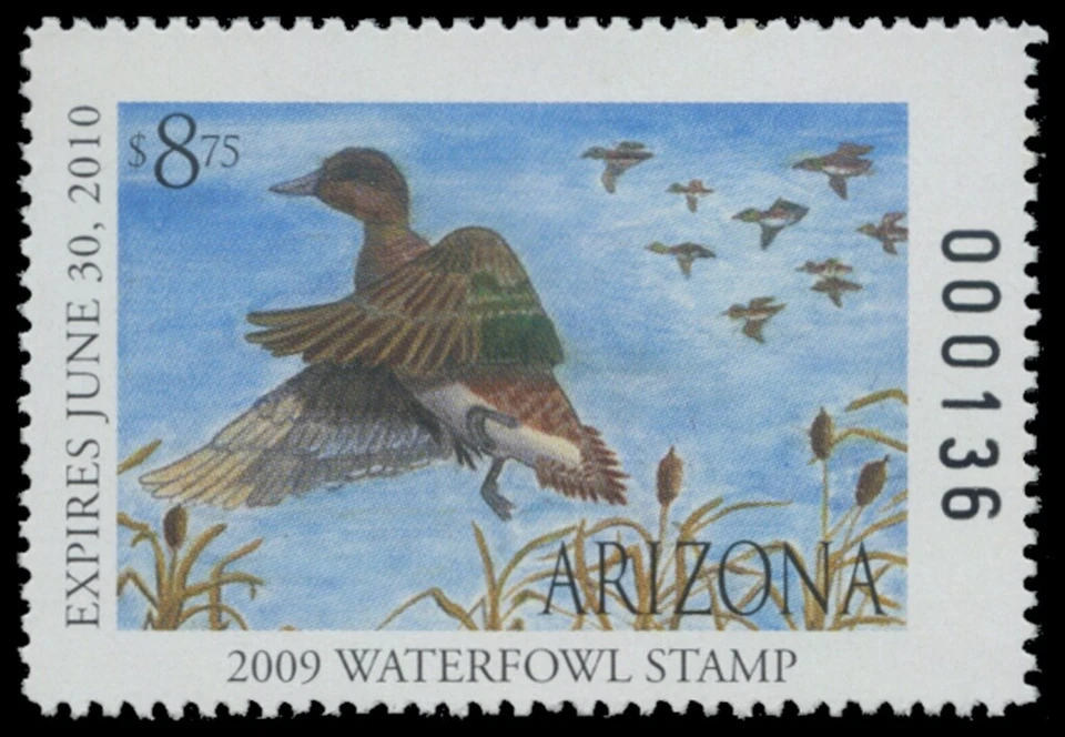 2009  Arizona State Duck Stamp Mint Never Hinged. Original Gum.  Junior Duck  - Image 1 of 1