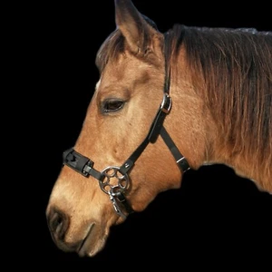 ¡NUEVO! Cabezal Hackamore BioThane correa de ganchillo rueda de la suerte trense montar - Imagen 1 de 13