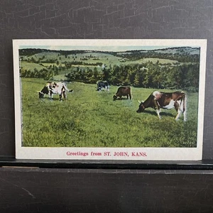 "Grüße aus St John Kansas" Landschaft Kühe auf Weide Vintage Postkarte NYCE - Bild 1 von 4