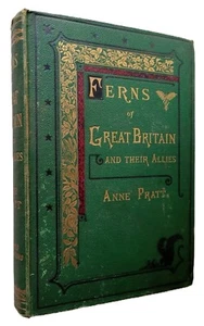 Pratt, Anne - Ferns of Great Britain and their Allies - (circa 1850) - Picture 1 of 5