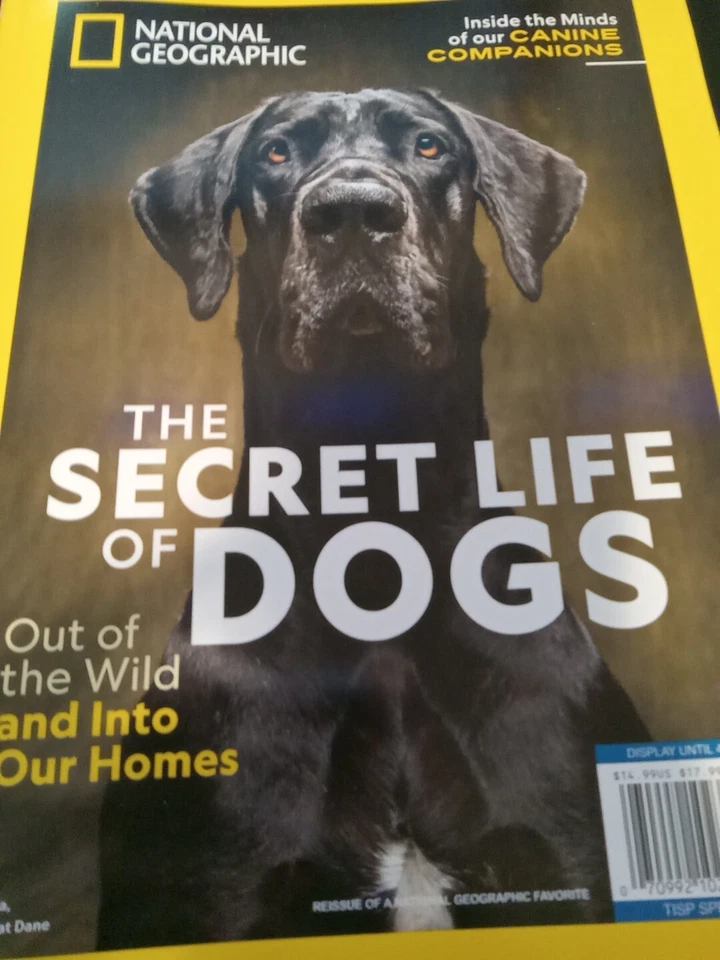 National Geographic The Secret Life of Dogs Out of the Wild and Into Our Homes Foto 1 de 1
